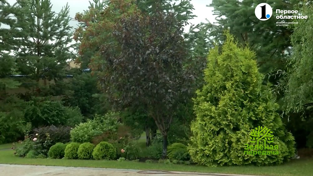 Какие ландшафтные решения совершенно не актуальны сегодня?