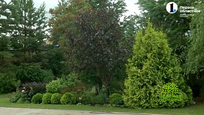 Какие ландшафтные решения совершенно не актуальны сегодня?