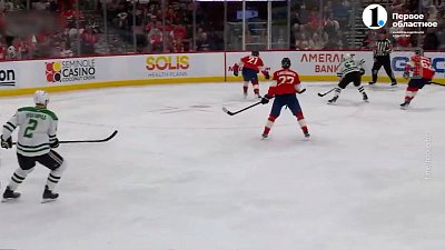 Евгений Дадонов забросил шайбу в матче НХЛ