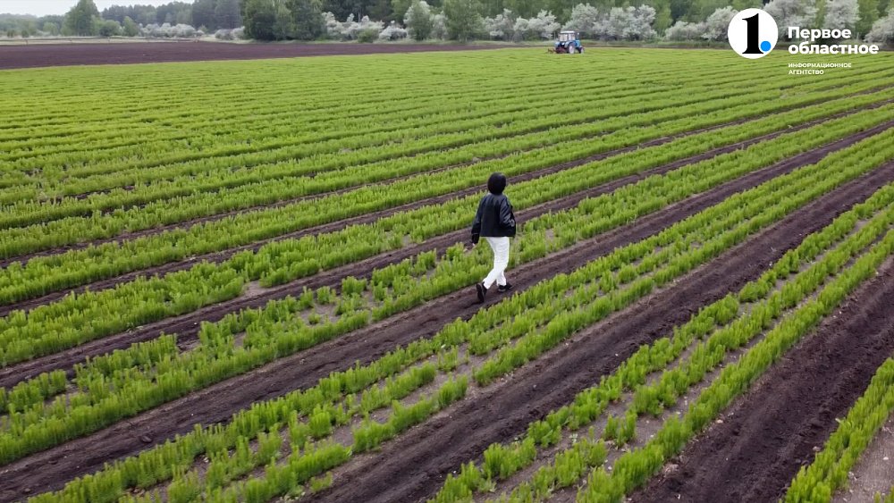 Итоговая ЭкоЛогика