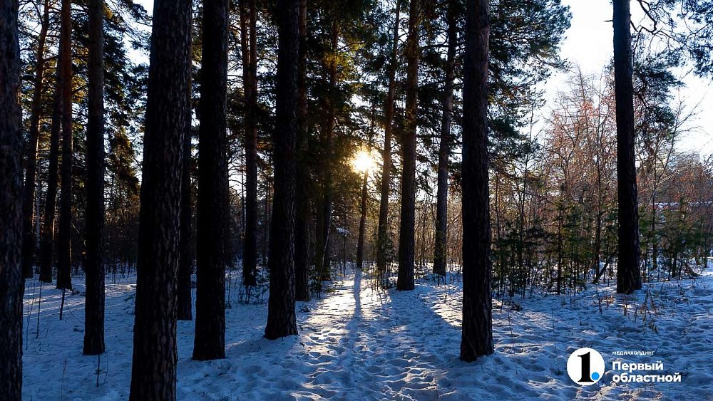 До −16 градусов поднимется температура воздуха в Челябинской области
