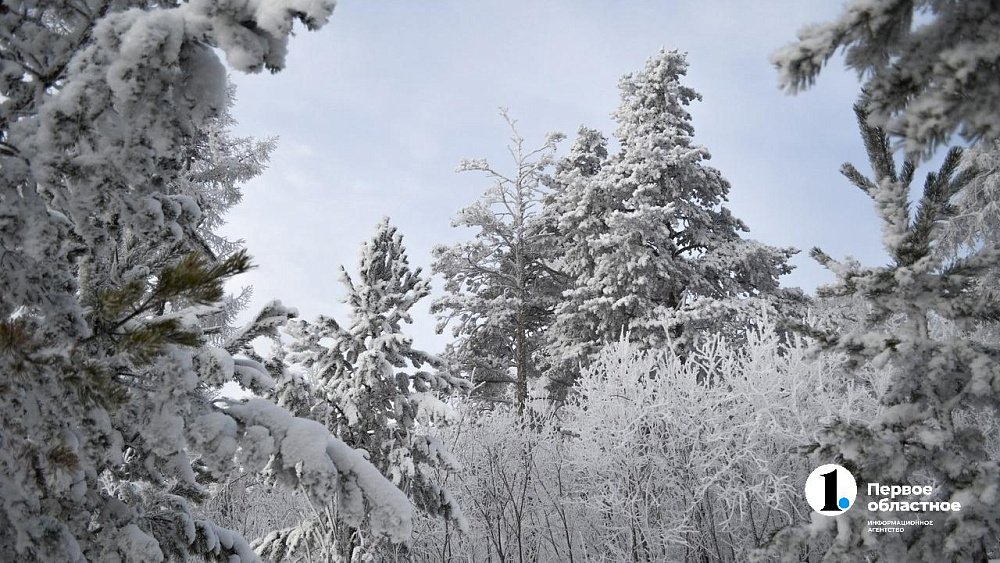 Жителей Челябинской области предупредили о возвращении экстремальных морозов 11 декабря