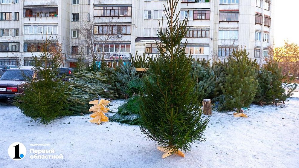 В Челябинске к выходным откроют 100 елочных базаров