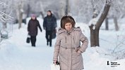 20-градусные морозы сохранятся на юге Челябинской области днем 16 декабря