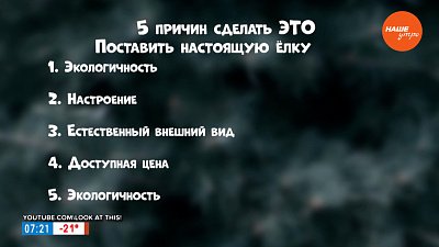 Поставить живую елку в рубрике «Пять причин сделать ЭТО»