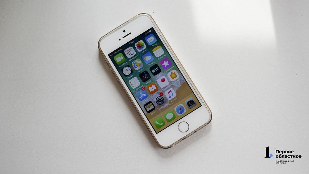 В Челябинской области участились случаи мошенничества с зеркальными аккаунтами руководителей организаций