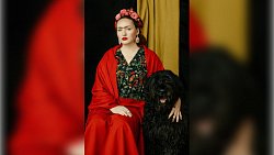 Выставка фотокартин с бездомными животными открывается в Челябинске