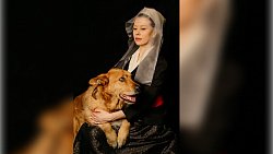 Выставка фотокартин с бездомными животными открывается в Челябинске