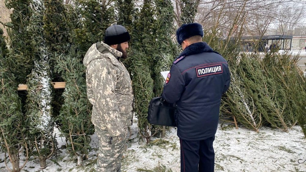 В Челябинске обнаружены нелегальные елочные базары