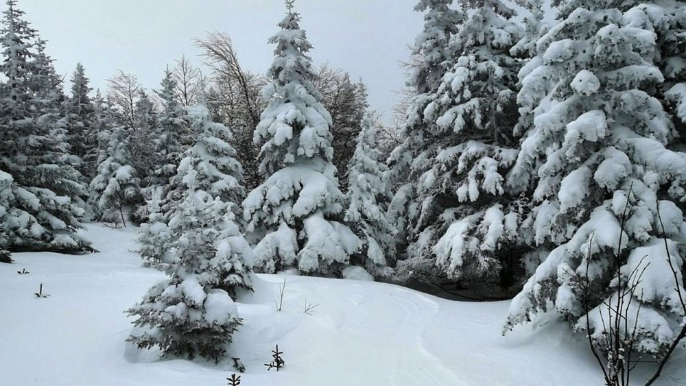 На Таганае намело самые глубокие сугробы за последние восемь лет