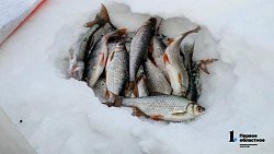 В Челябинской области открыли сезон зимней рыбалки