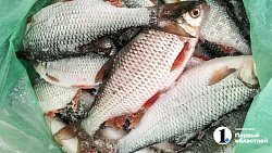 В Челябинской области открыли сезон зимней рыбалки