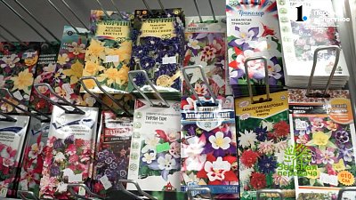 Садовод рассказала, каким семенам требуется стратификация