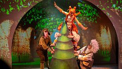 Камерный театр в Челябинске открыл новогоднюю кампанию «социальной» елкой