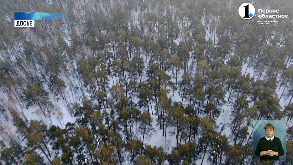 В Челябинске выступили с инициативой о защите бора