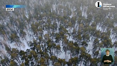 В Челябинске выступили с инициативой о защите бора