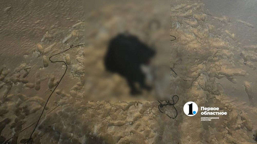 В Челябинске промышленный альпинист в костюме Деда Мороза сорвался с балкона и погиб