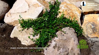 Беседки и альпийские горки — модно или нет?