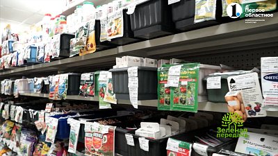 Современные препараты на защите сада от вредителей и болезней