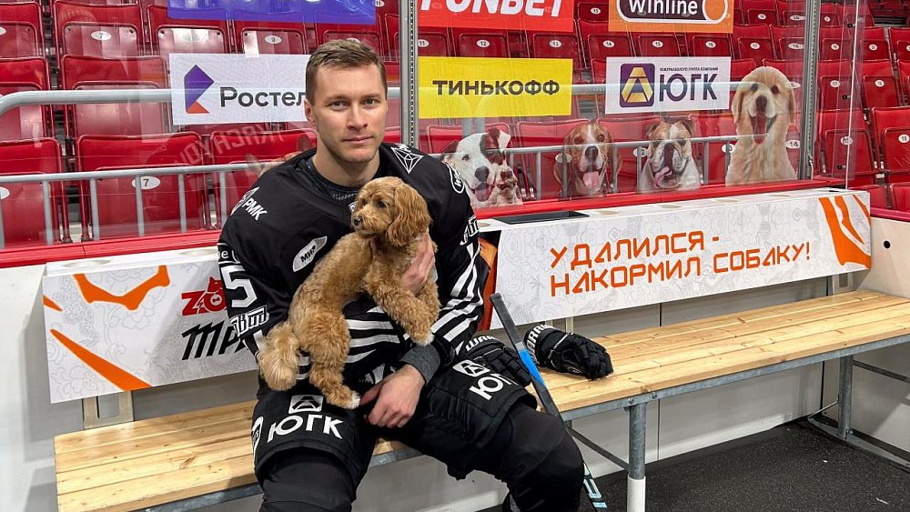 Хоккеисты «Трактора» собрали более трех тонн корма для 1500 бездомных собак