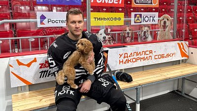 Хоккеисты «Трактора» собрали более трех тонн корма для 1500 бездомных собак