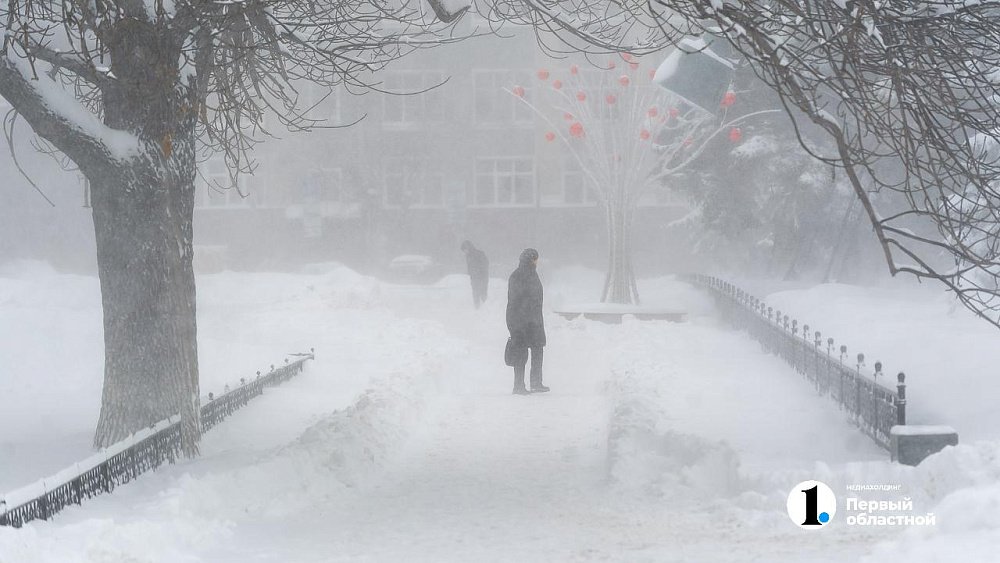 Снегопады и штормовой ветер прогнозируют в Челябинской области в ночь на 27 декабря