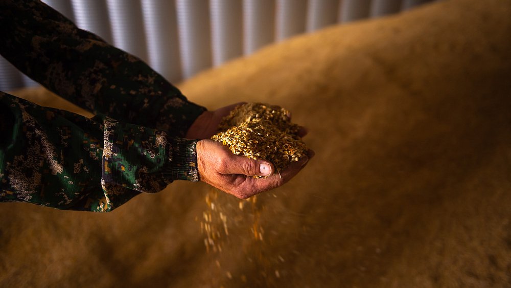 Челябинские аграрии в 2024 году смогут воспользоваться новыми мерами господдержки