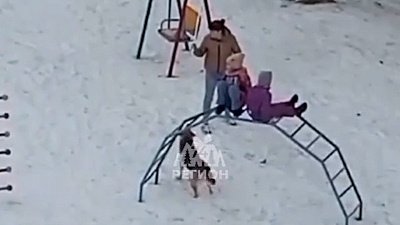 В Троицке агрессивные собаки загнали детей на конструкции на детской площадке