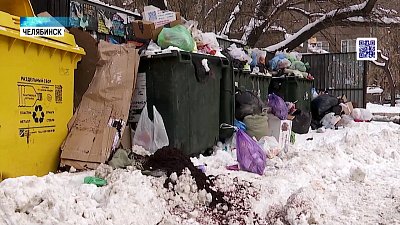 Из-за снега треть мусорок Челябинска завалена отходами