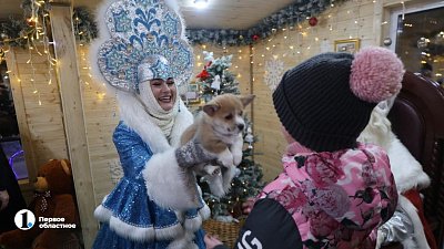 Школьница из Челябинска написала президенту о мечте иметь собаку