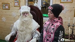 Школьница из Челябинска написала президенту о мечте иметь собаку