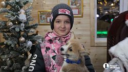 Школьница из Челябинска написала президенту о мечте иметь собаку