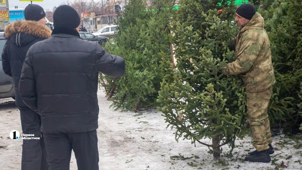 Задержаны два челябинца, напавшие на продавца елок