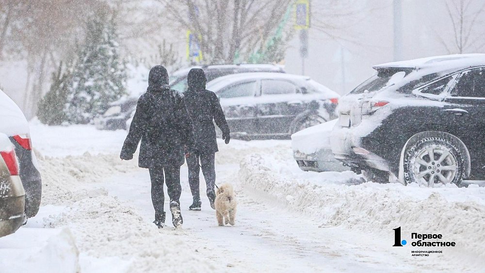 Жителей Челябинской области предупредили о снегопадах и гололеде 7 января