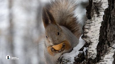 В Челябинской области потеплеет до 0 градусов