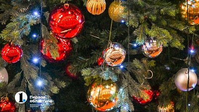 Новогодние подарки разочаровали каждого шестого россиянина