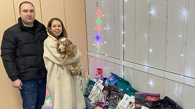 Молодожены из Челябинска собрали 50 килограммов корма для животных на свадьбе