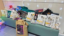 Молодожены из Челябинска собрали 50 килограммов корма для животных на свадьбе