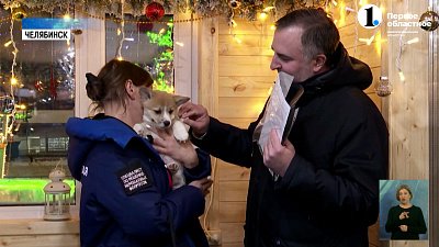 Челябинская школьница написала письмо не Деду Морозу, а Владимиру Путину