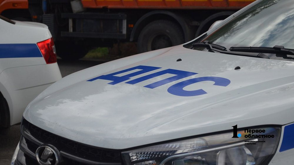 В Челябинской области полиция выявляет нелегальных мигрантов — водителей автобусов и такси