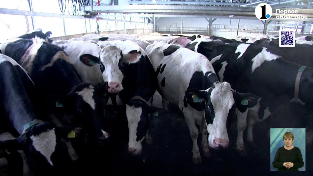 Аграрии региона наращивают объемы производства