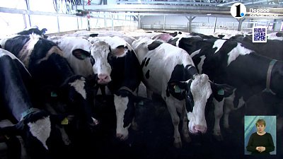 Аграрии региона наращивают объемы производства