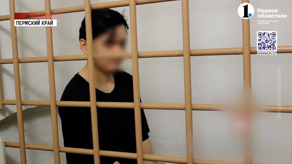 Силовики поймали мошенника-гастролера