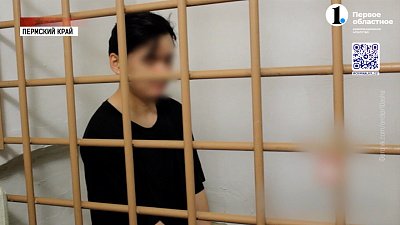 Силовики поймали мошенника-гастролера