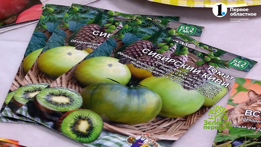 Селекционер рассказала о разноцветных сортах помидоров