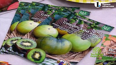 Селекционер рассказала о разноцветных сортах помидоров