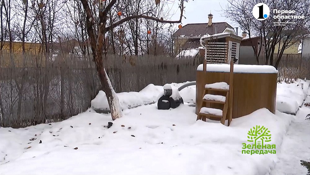 Чем заняться садоводам в январе?