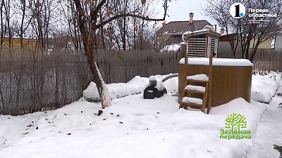 Чем заняться садоводам в январе?