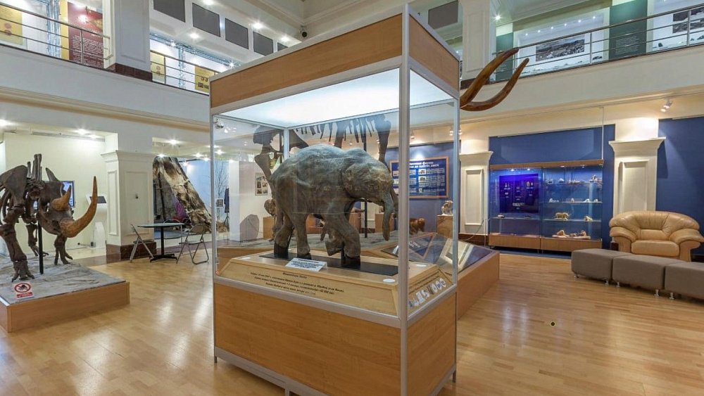 Челябинцы увидят мумию мамонтенка возрастом более 40 тысяч лет