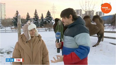 Елки для животных в «Прямом включении»